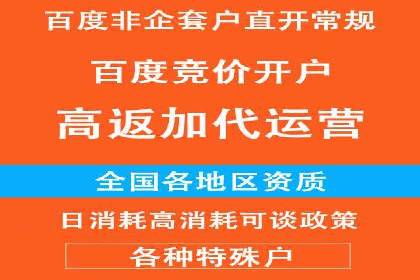 某电商平台的SEM专员营销策略